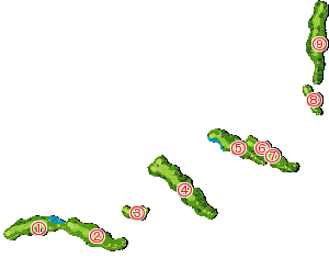 コース全体俯瞰図