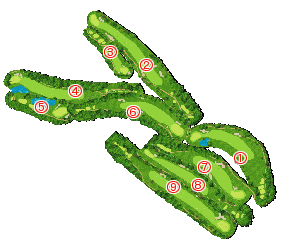 コース全体俯瞰図