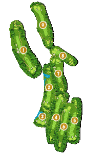 コース全体俯瞰図