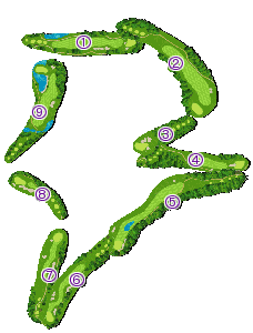 コース全体俯瞰図