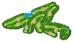 コース全体俯瞰図