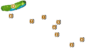 コース全体俯瞰図
