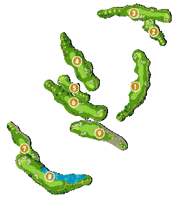 コース全体俯瞰図