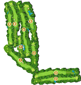 コース全体俯瞰図