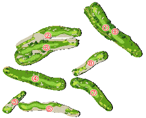 コース全体俯瞰図