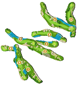 コース全体俯瞰図