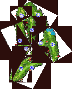 コース全体俯瞰図