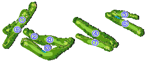 コース全体俯瞰図