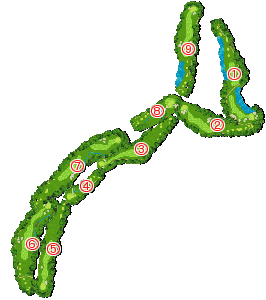 コース全体俯瞰図