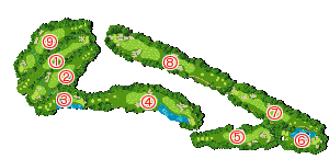 コース全体俯瞰図