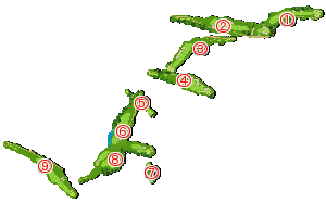 コース全体俯瞰図