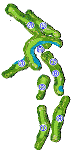 コース全体俯瞰図