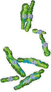 コース全体俯瞰図