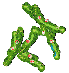 コース全体俯瞰図