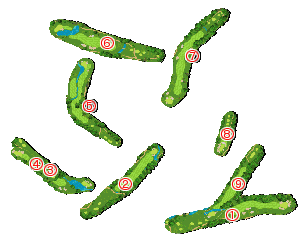 コース全体俯瞰図