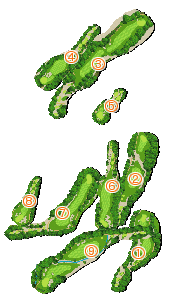 コース全体俯瞰図