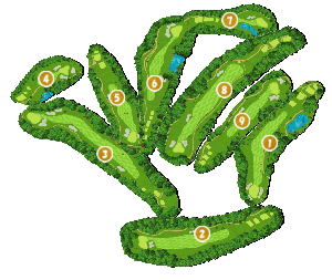 コース全体俯瞰図