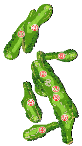 コース全体俯瞰図