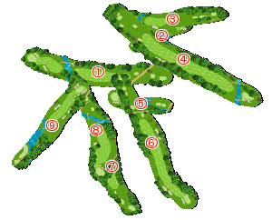 コース全体俯瞰図