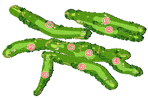 コース全体俯瞰図