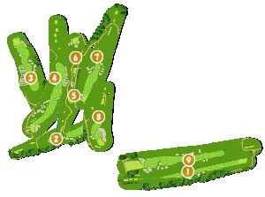 コース全体俯瞰図