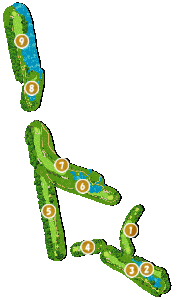 コース全体俯瞰図