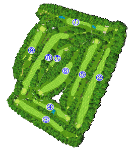 コース全体俯瞰図