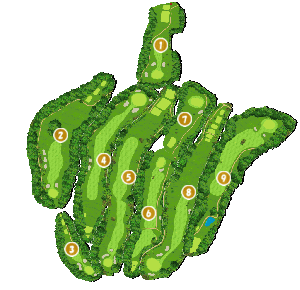 コース全体俯瞰図