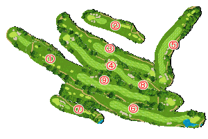 コース全体俯瞰図