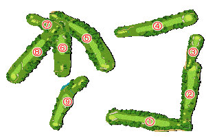 コース全体俯瞰図