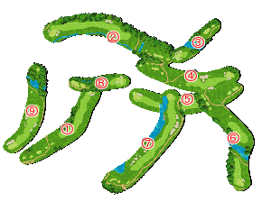 コース全体俯瞰図