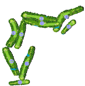 コース全体俯瞰図