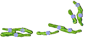 コース全体俯瞰図