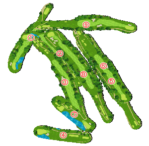 コース全体俯瞰図