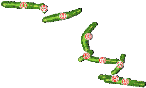 Wentworth Golf Club West Course(海外)のゴルフ場コースガイド - Shot