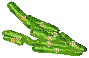 コース全体俯瞰図