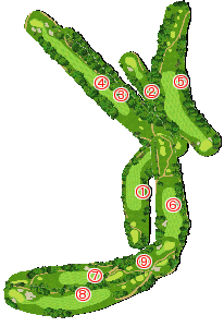 コース全体俯瞰図