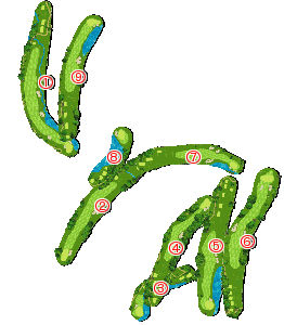 コース全体俯瞰図