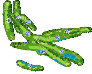 コース全体俯瞰図