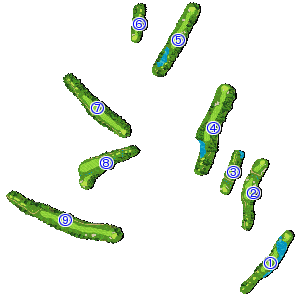 コース全体俯瞰図