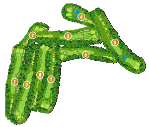 コース全体俯瞰図