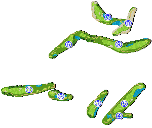 コース全体俯瞰図