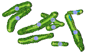 コース全体俯瞰図