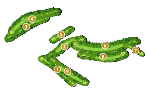 コース全体俯瞰図