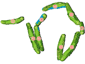 コース全体俯瞰図
