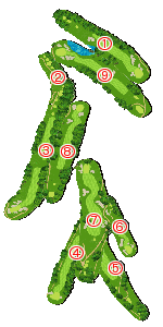 コース全体俯瞰図