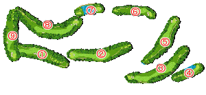コース全体俯瞰図