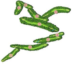 コース全体俯瞰図