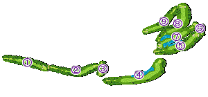 コース全体俯瞰図
