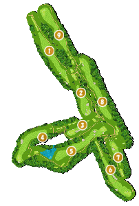 コース全体俯瞰図